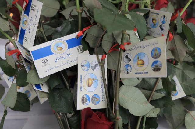 تیم استقبال فرودگاه