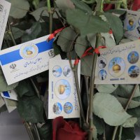 تیم استقبال فرودگاه