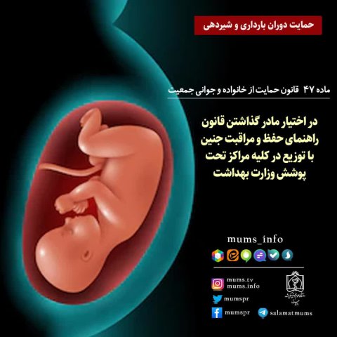 قوانین حمایت از خانواده و جوانی جمعیت