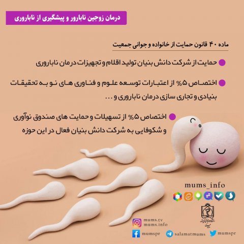قانون حمایت از خانوده و جوانی جمعیت
