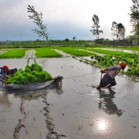 آثاربرگزیده جشنواره هنر و روان دکتر حجازی