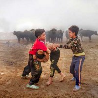 آثاربرگزیده جشنواره هنر و روان دکتر حجازی