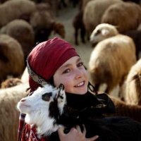 آثاربرگزیده جشنواره هنر و روان دکتر حجازی