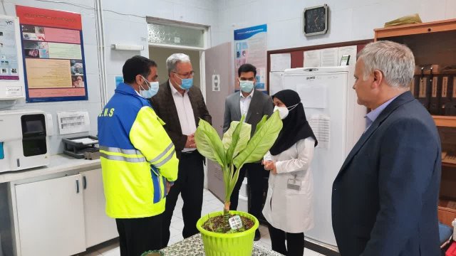 ديدار معاون درمان از شبكه بهداشت گلبهار
